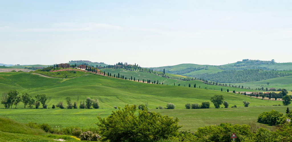 vino nobile montepulciano